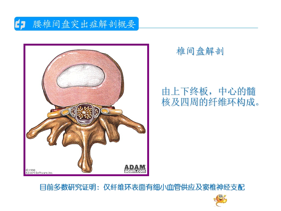 腰椎间盘突出的护理查房1.ppt_第2页