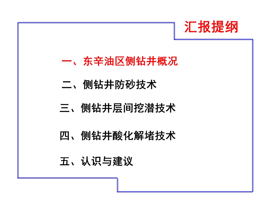 东辛油区侧钻井油层改造工艺应用研究(1).ppt_第2页