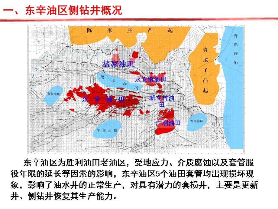 东辛油区侧钻井油层改造工艺应用研究(1).ppt_第3页