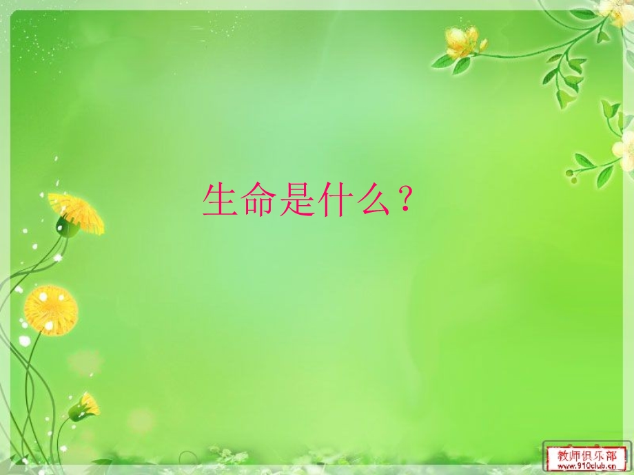 生命教育ppt.ppt_第2页