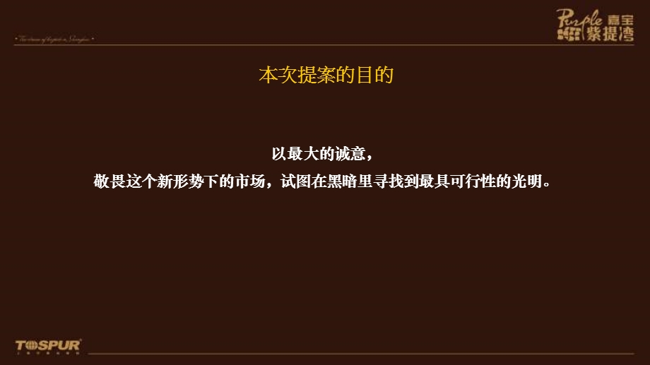 同策2010年上海嘉宝·紫提湾新政季度攻略（5-7月营销简报） (1).ppt_第3页