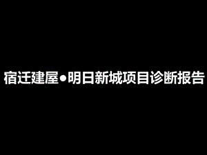 精品文案-2010年江苏宿迁建屋明日新城项目研究报告(1).ppt