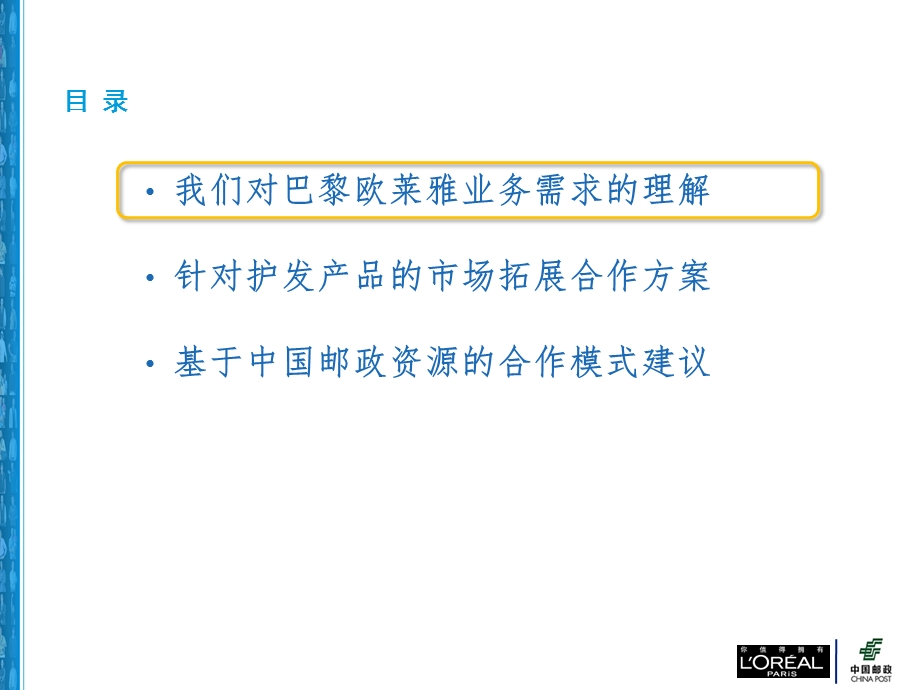 巴黎欧莱雅项目建议书.ppt_第2页