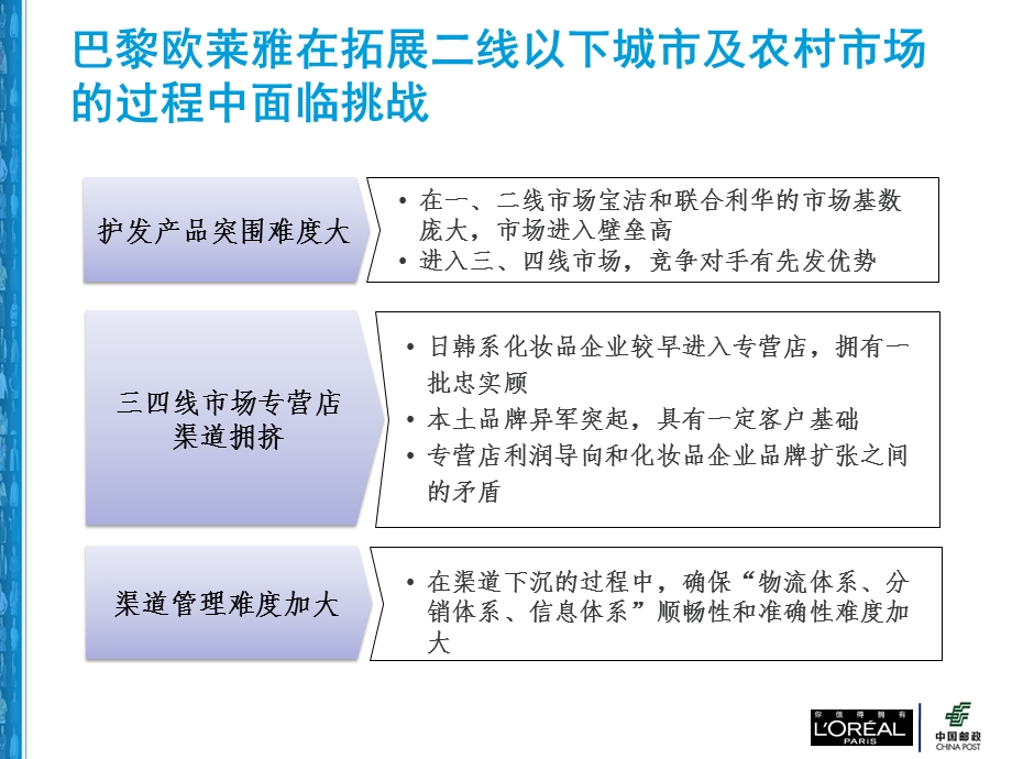 巴黎欧莱雅项目建议书.ppt_第3页