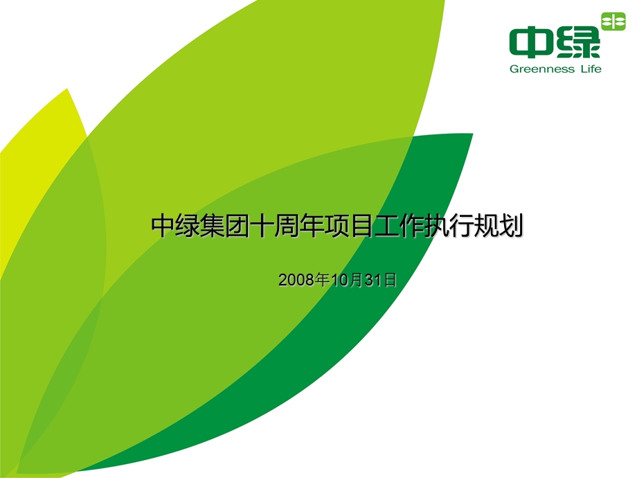 中绿集团十周项目执行工作规划.ppt_第1页