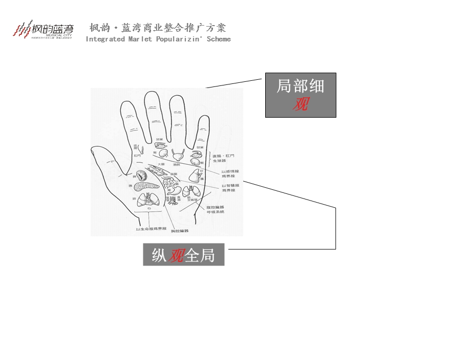 枫韵·蓝湾商业整合推广方案.ppt_第3页