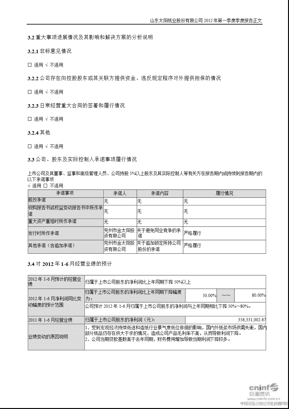 太阳纸业：第一季度报告正文.ppt_第3页