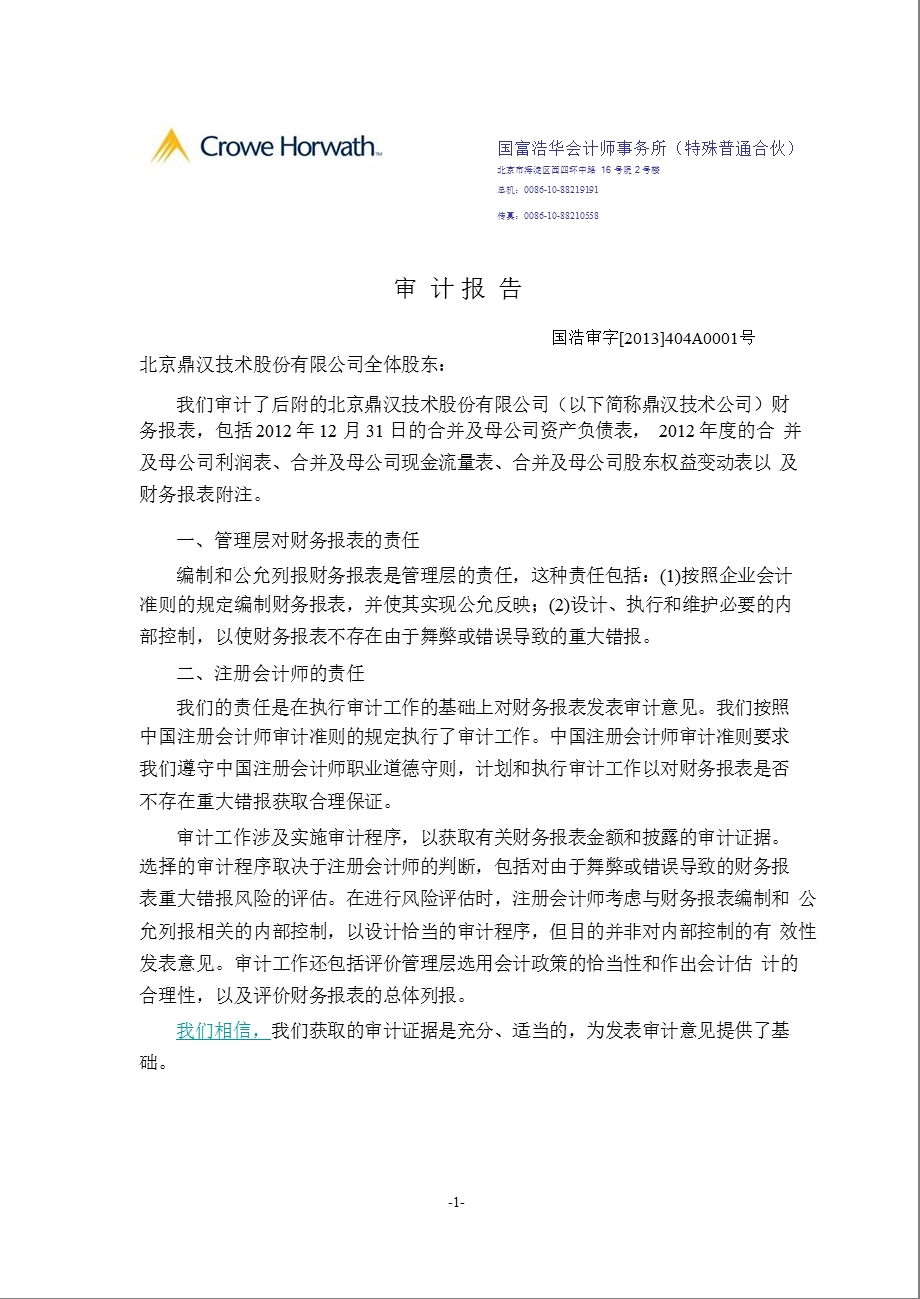 鼎汉技术：审计报告.ppt_第2页