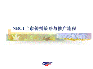 NBC1上市传播策略与推广流程.ppt