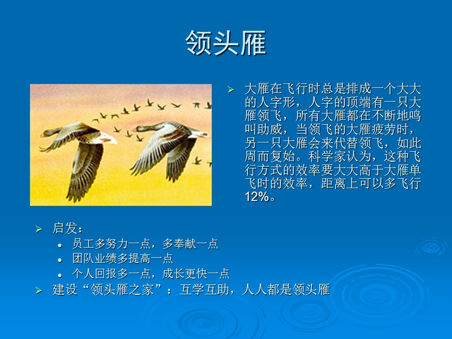 领头雁之家建设方案.ppt_第3页