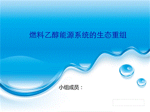 燃料乙醇能源系统的生态重组专题讲座PPT.ppt