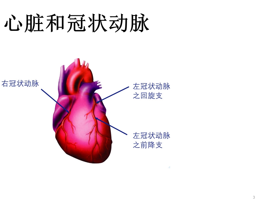 (最新整理)冠心病科普.ppt_第3页