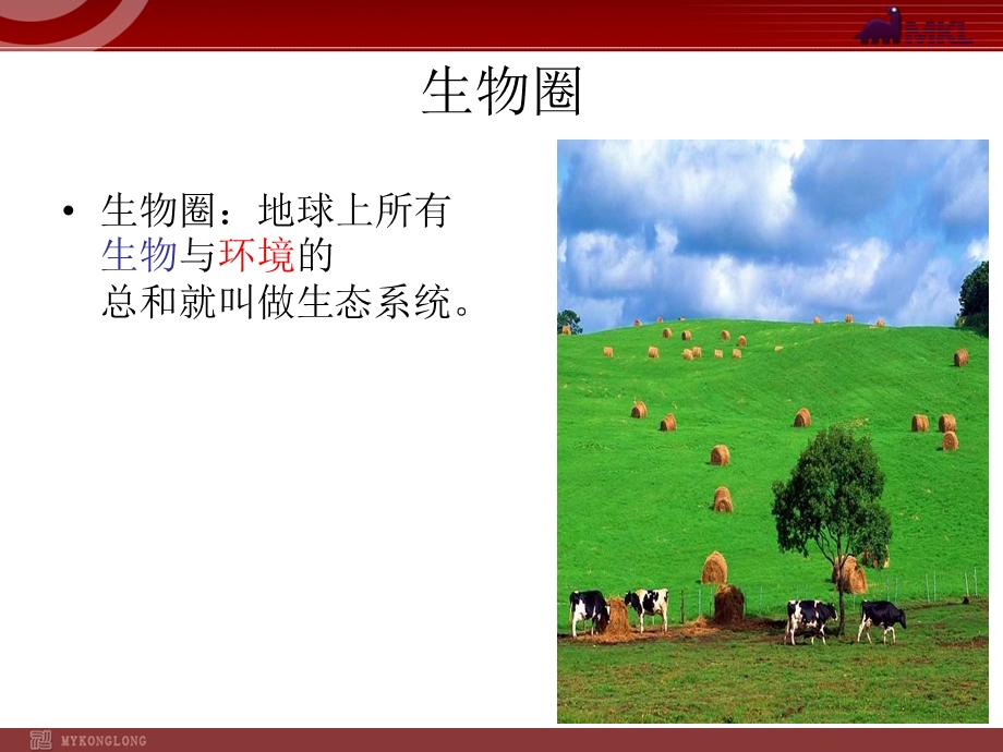 生物与环境的关系.ppt_第2页