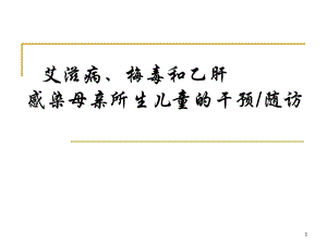 艾滋病梅毒和乙肝感染母亲所生儿童的干预.ppt