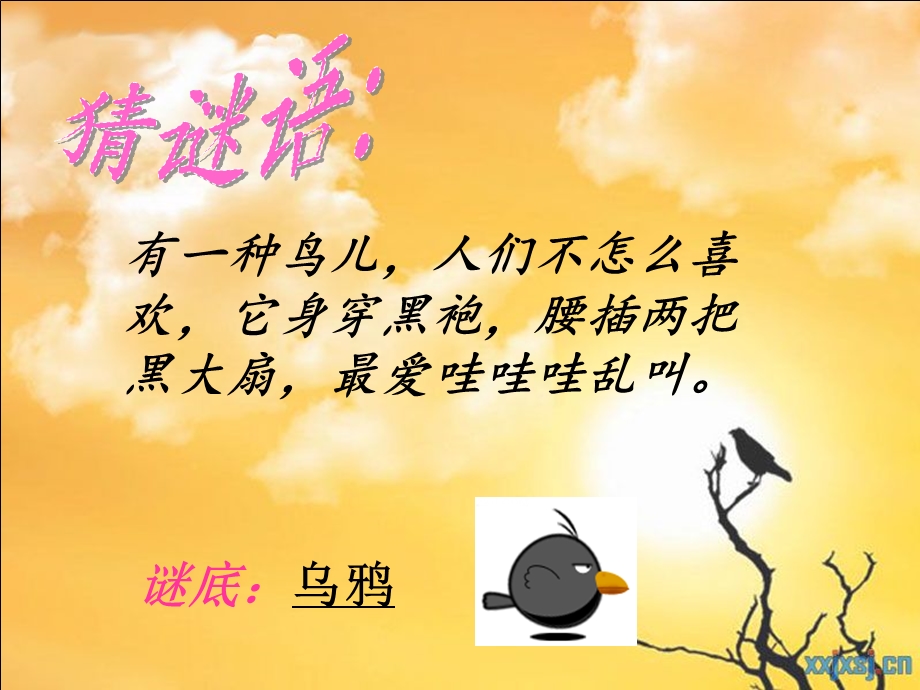 乌鸦兄弟.ppt_第1页