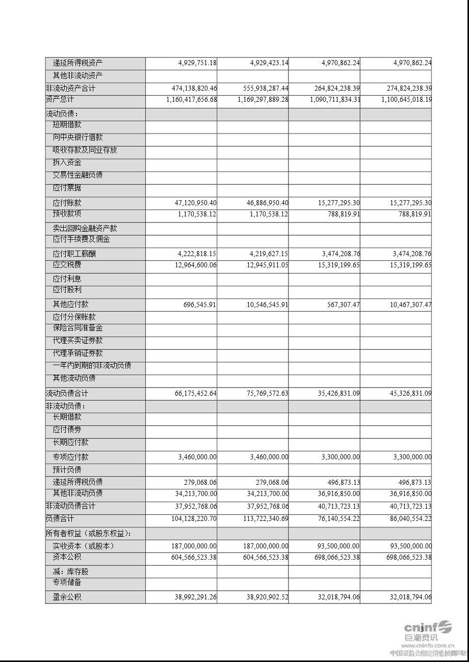 永安药业：审计报告.ppt_第3页