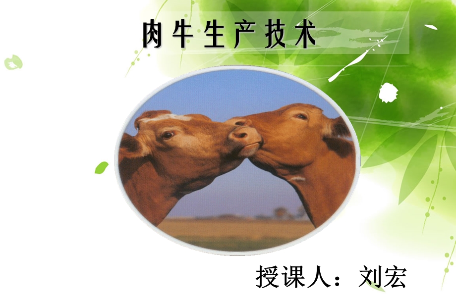 二 肉牛品种与改良.ppt_第1页