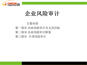 企业风险审计.ppt