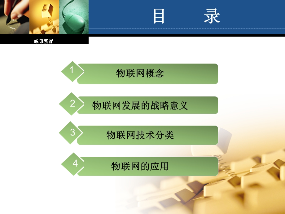 物联网介绍.ppt.ppt_第2页