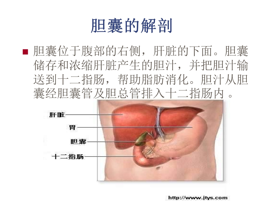 .2胆囊结石胆囊炎围手术期护理1_第2页