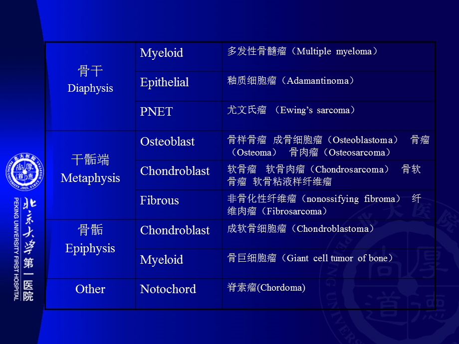 非骨化性纤维瘤.ppt_第2页