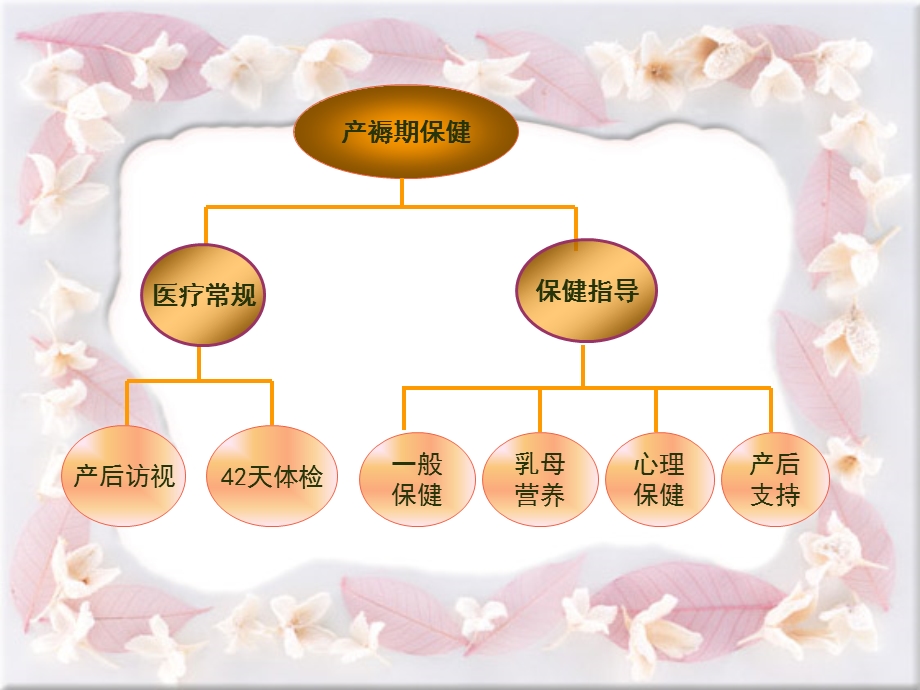 产褥期保健的适宜.ppt_第3页