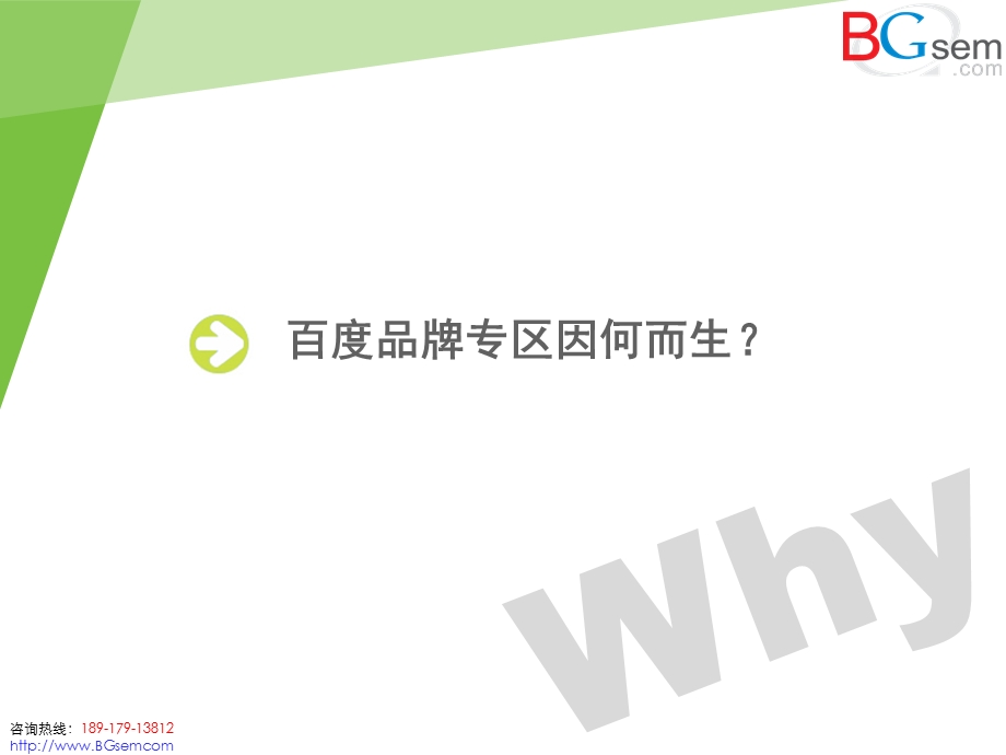 【广告策划PPT】百度品牌推广百度品牌专区介绍BGSEM.ppt_第3页