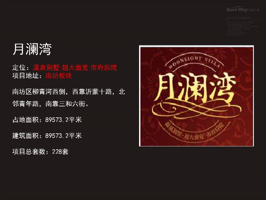 2010年临沂沂龙湾龙园别墅项目推广.ppt_第3页