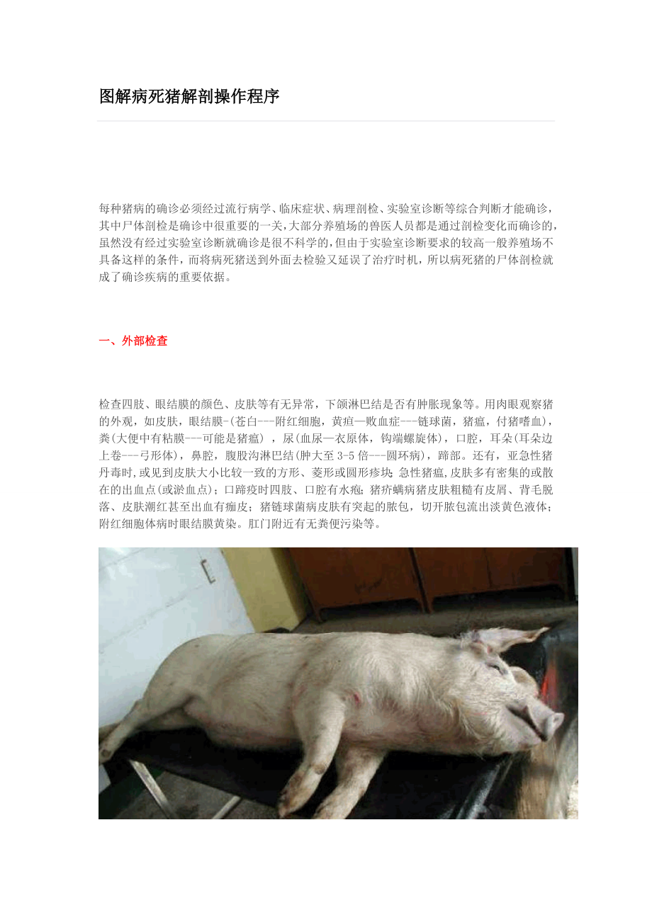 图解病死猪解剖操作程序.doc_第1页