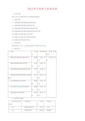 专科护士培训计划（精华推荐版） .doc