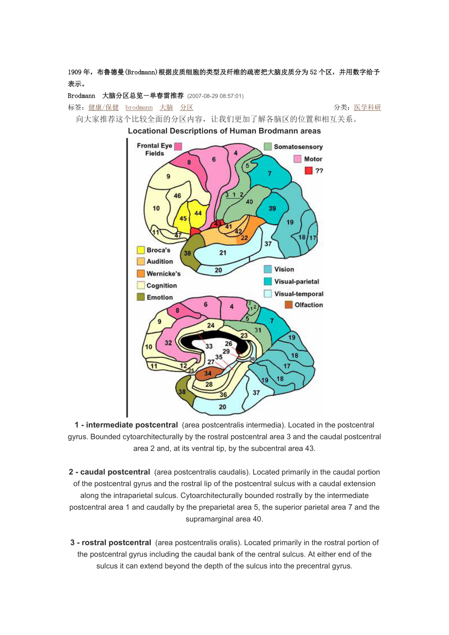 Brodmann 大脑分区总览.doc_第1页