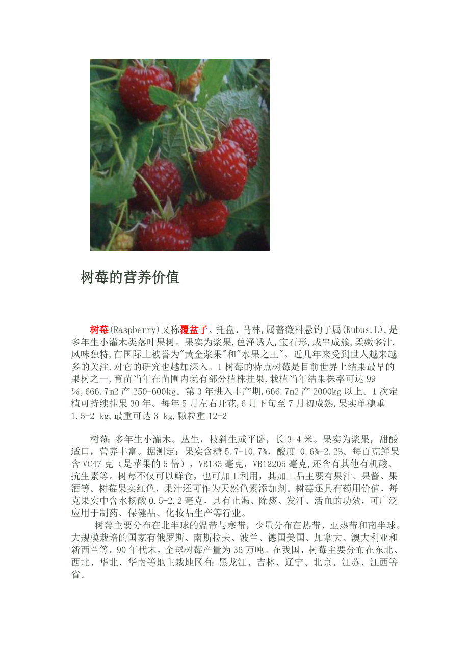 树莓的营养成分.doc_第3页