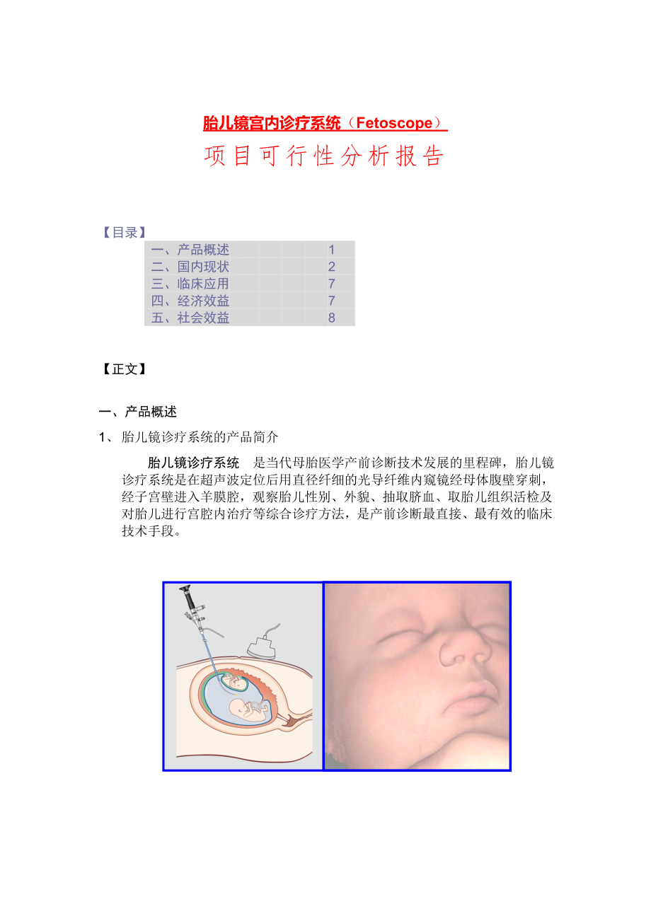 胎儿镜诊疗项目可行性分析报告.doc_第1页