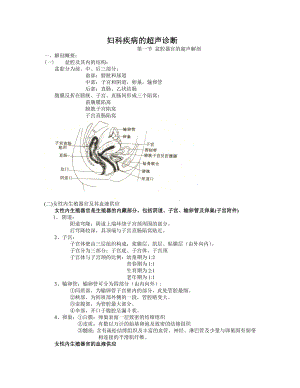 妇科超声教学.doc