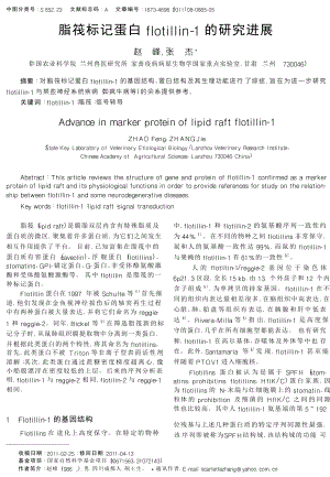 脂筏标记蛋白flotillin1的研究进展.doc