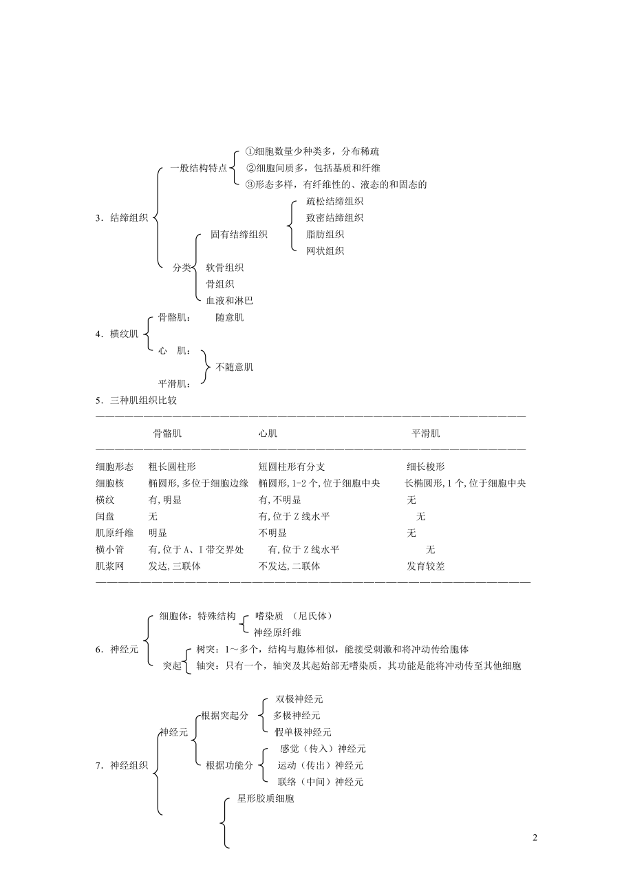 人体解剖学课后习题——基本组织（含答案） .doc_第2页