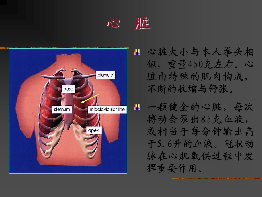 冠心病防治—ABCDE.ppt_第3页