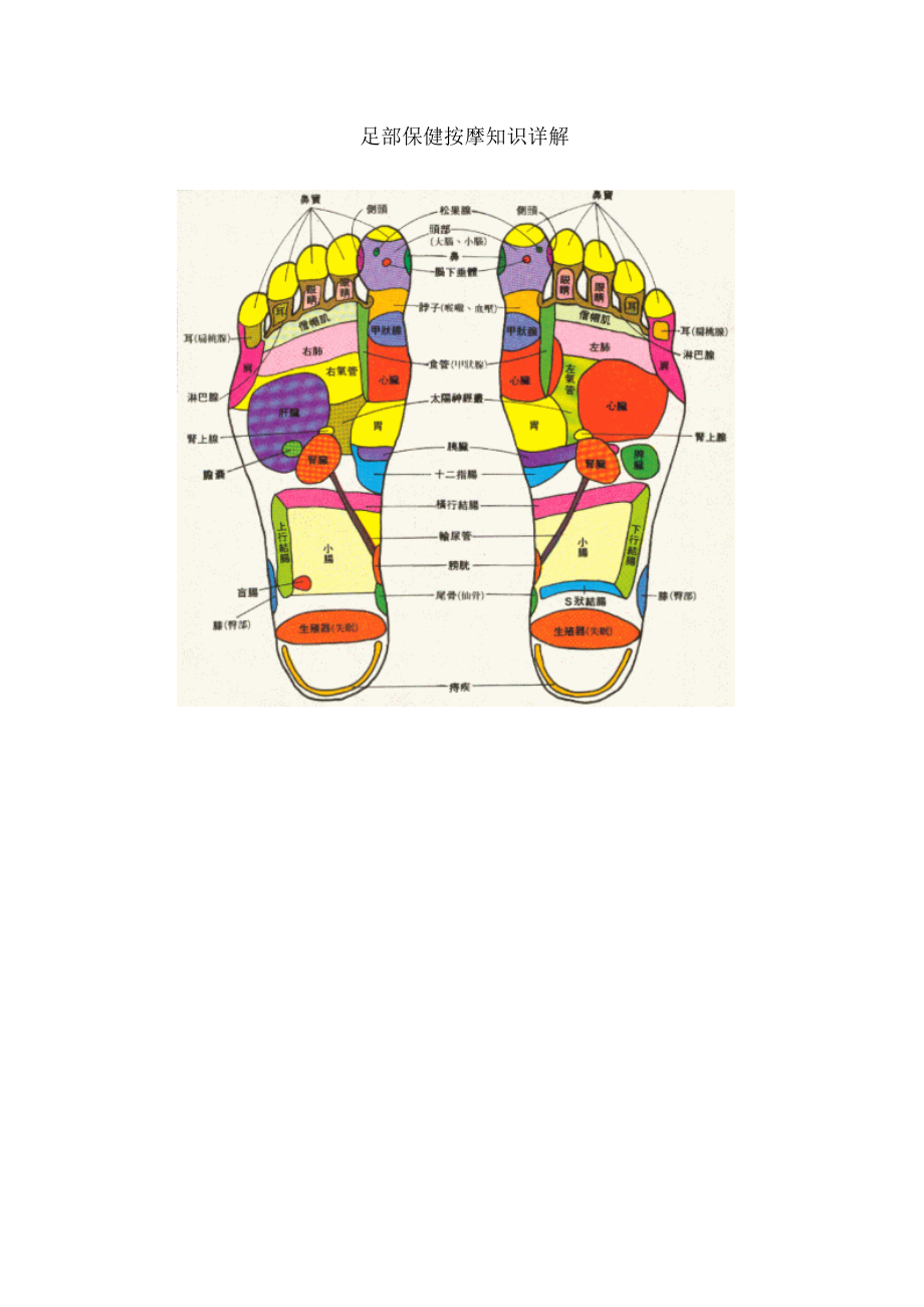 足部保健按摩知识详解.doc_第1页
