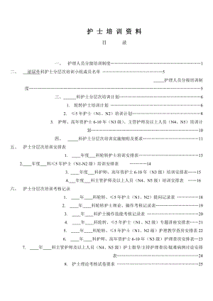 护士分层次培训资料模板(新)jsp.doc