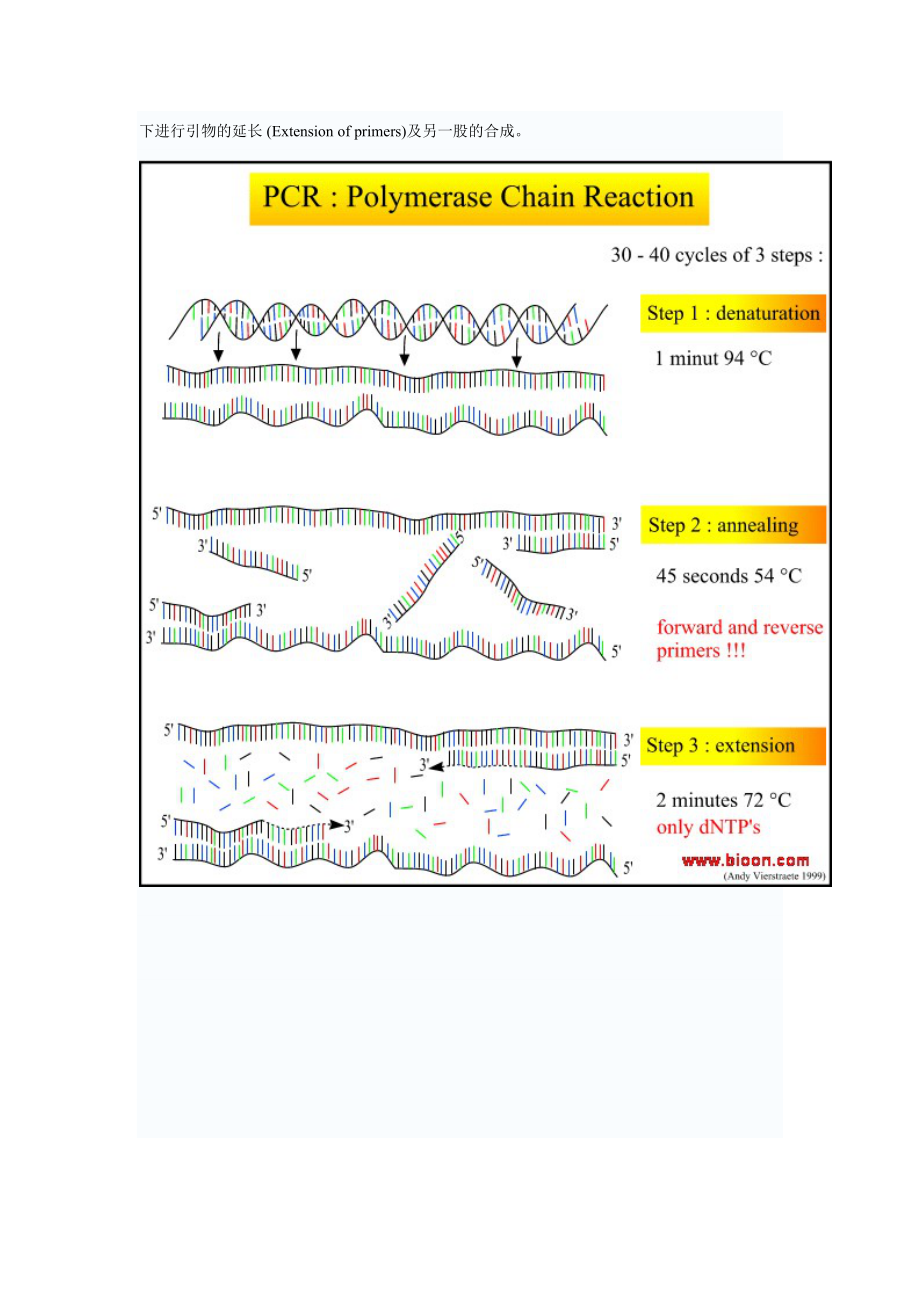 PCR技术综述.doc_第2页