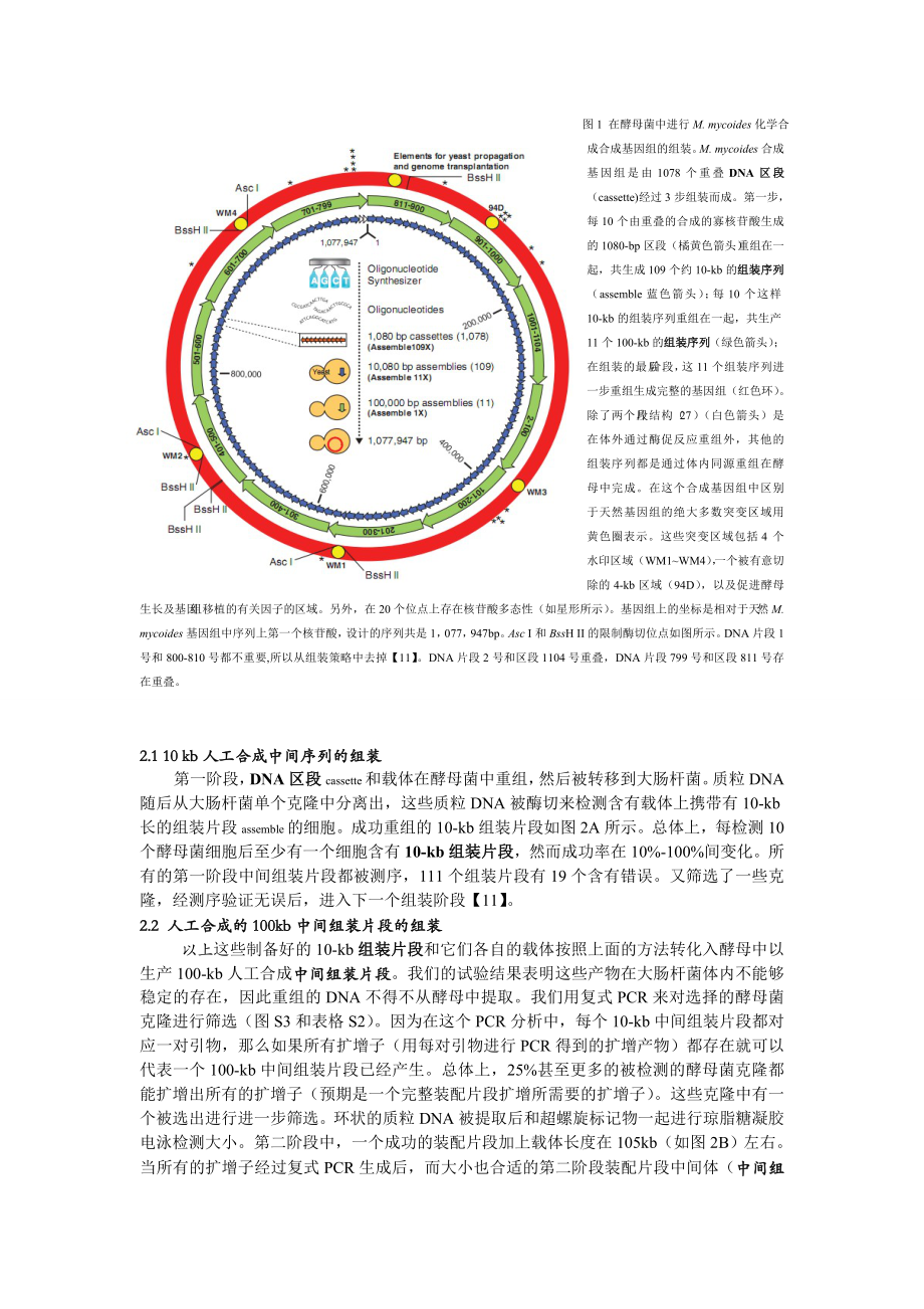 人工合成细胞Science .doc_第3页