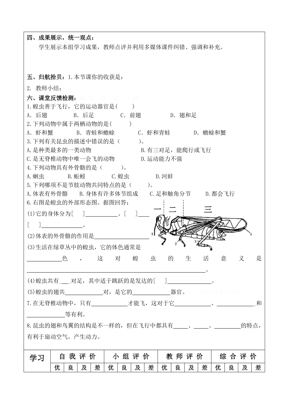 空中飞行的动物（二）.doc_第2页