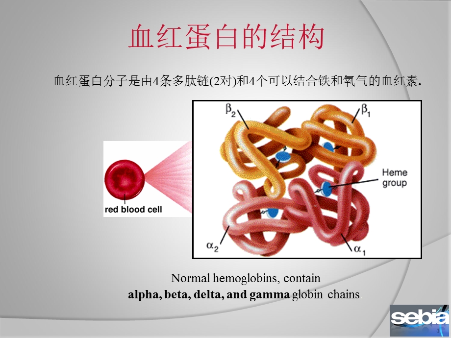 血红蛋白电泳的意义和判断课件.ppt_第3页