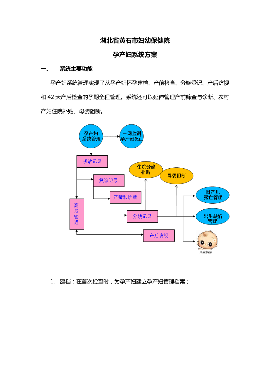 孕产妇系统方案.doc_第1页