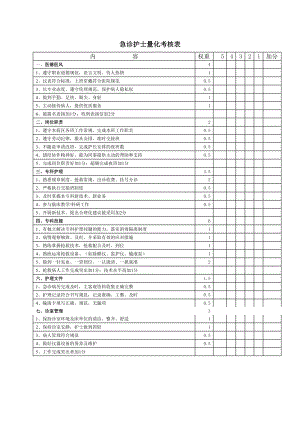 急诊护士量化考核表.doc