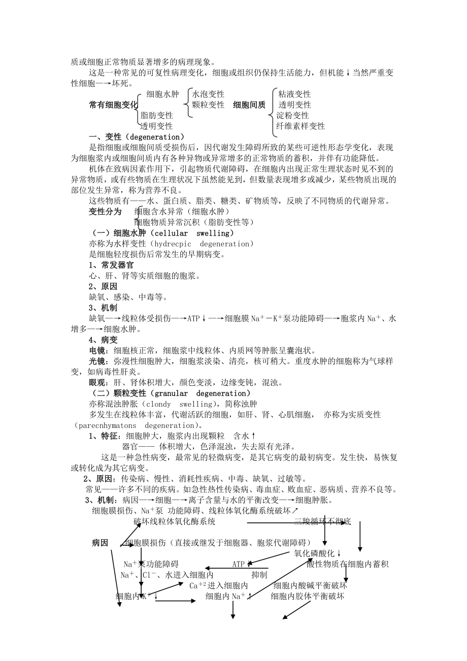 动物病理教案——细胞和组织的损伤.doc_第3页