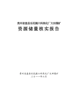 贵州省盘县乐民镇六科焦化厂大田煤矿储量核实报告.doc