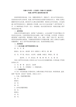 儿童医院创建三级甲等医院实施方案.doc