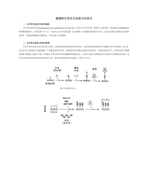 磁微粒免疫技术.doc