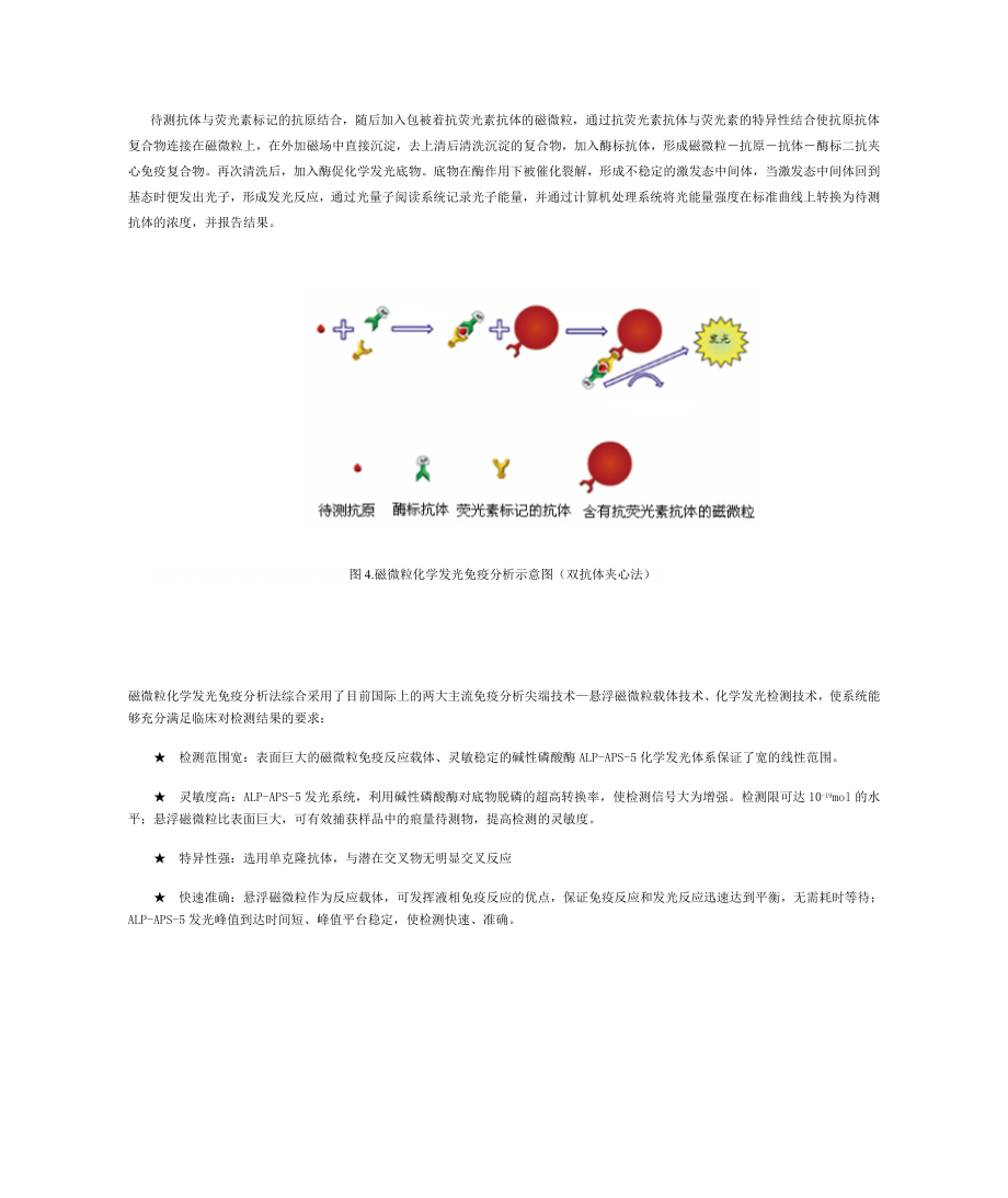 磁微粒免疫技术.doc_第3页